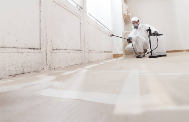 24/7 Emergency Commercial Mold Remediation experts in McKinney, TX