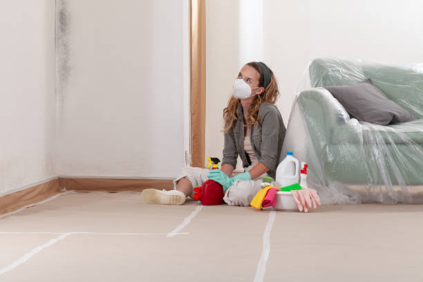 Reliable Commercial Mold Remediation contractor in McKinney, TX by 24 Hour Mold Removal